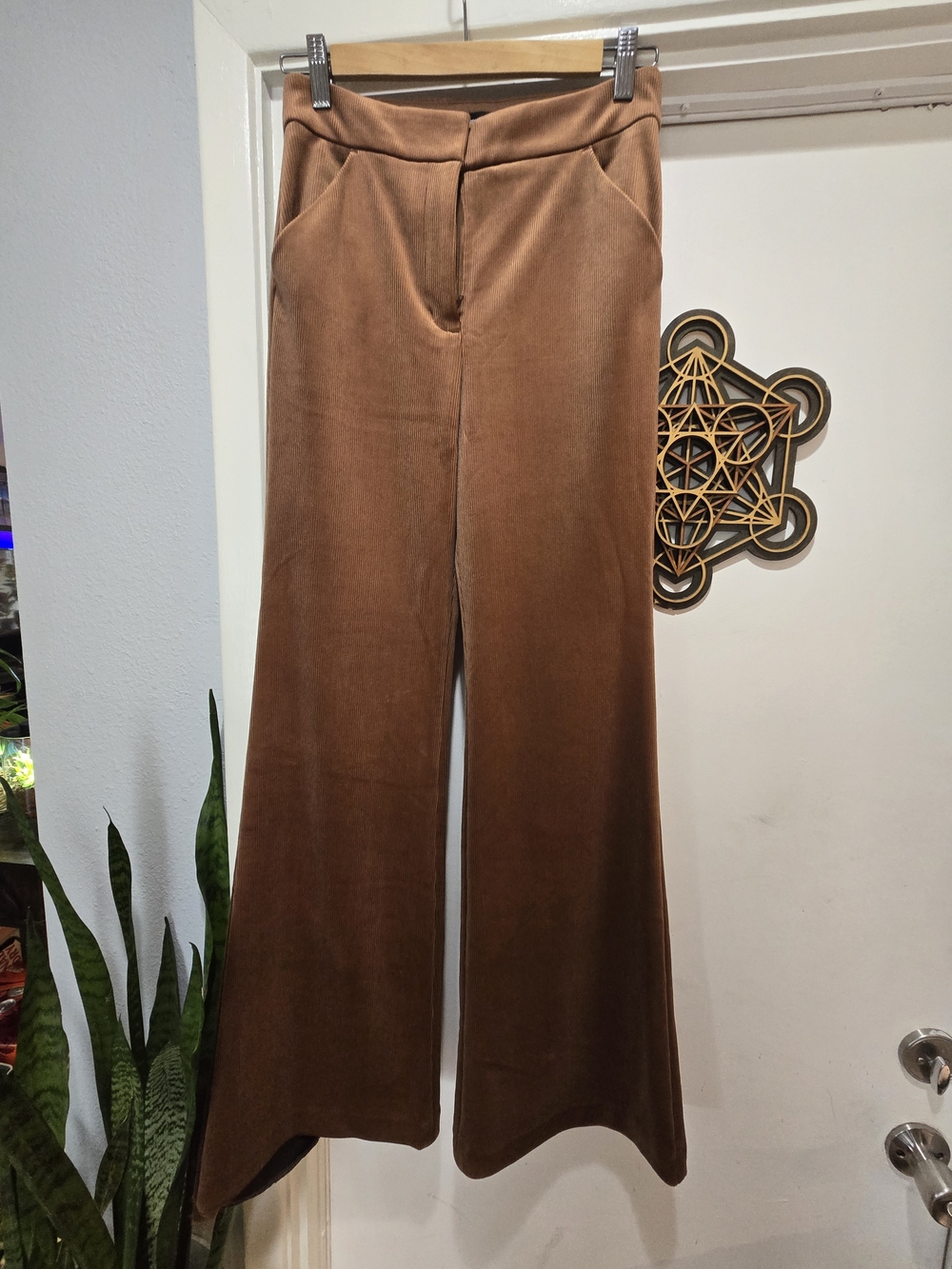 Express Wide-Leg Velvet Pants in Brown